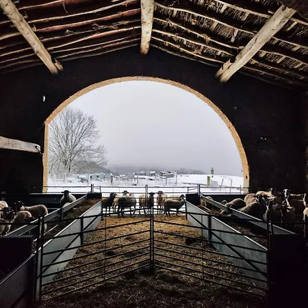 Font De Ciuret, Rural * Vidra