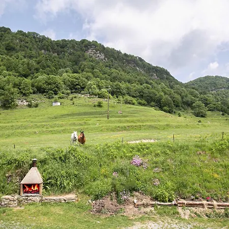 Font De Ciuret, Rural Vidra