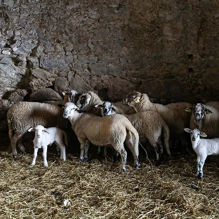 Font De Ciuret, Rural *