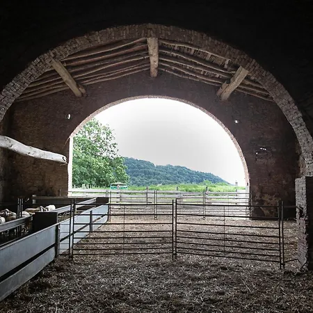 Font De Ciuret, Rural * Vidra