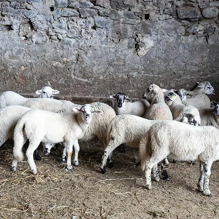Font De Ciuret, Rural * Vidra