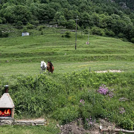 Apartment Font De Ciuret, Rural Vidra